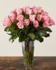 Pink Rose Bouquet Delivery Toronto