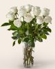 Dozen White Roses in Vase